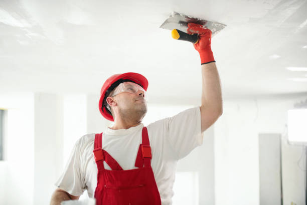 Best Wallpaper Removal and Painting  in East Cleveland, TN